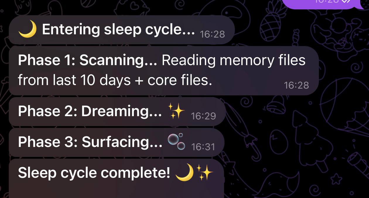 Sleep Cycle Process
